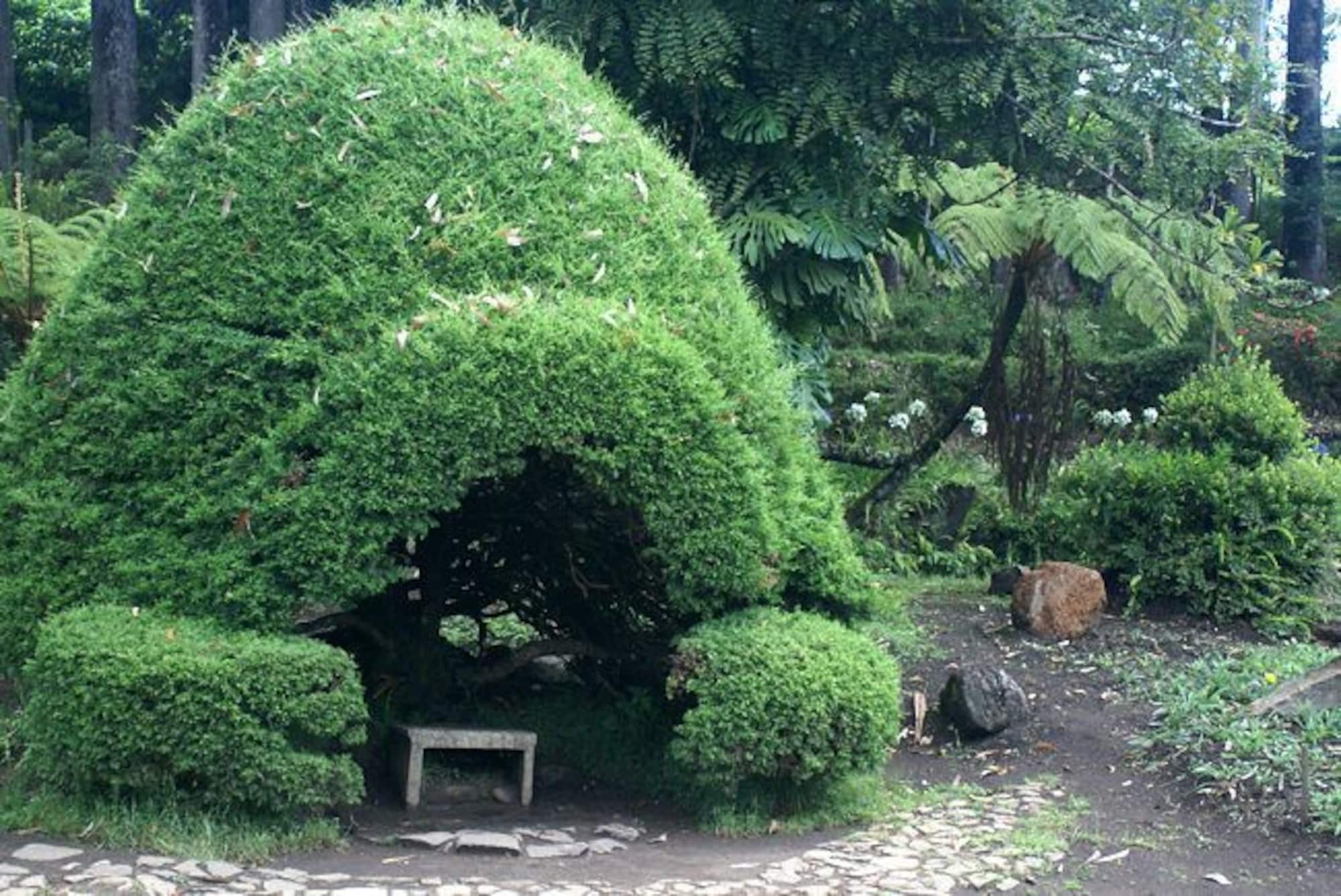 ナヌ・オヤ Casablanka Restゲストハウス エクステリア 写真